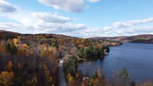 Fall foliage, trees and a lake aerial view